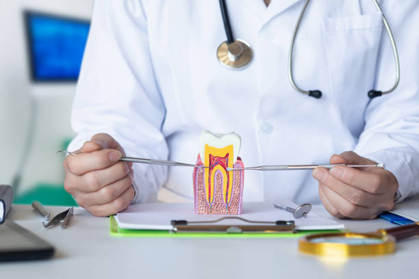 Best Broken or Cracked Tooth Emergency Dentist in Hightstown, NJ